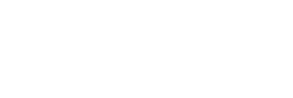 ms_partner_logo